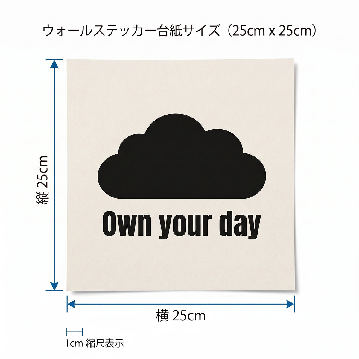 転写タイプ クラウドアイコン＆格言「Own your day」：オフィスロッカー・ホワイトスチール扉・更衣スペース用 ブラックグラフィックサイン　ウォールステッカー （横幅25cm）